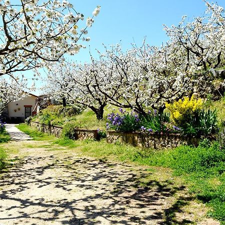 Casa Valeriana Villa Navaconcejo Kültér fotó
