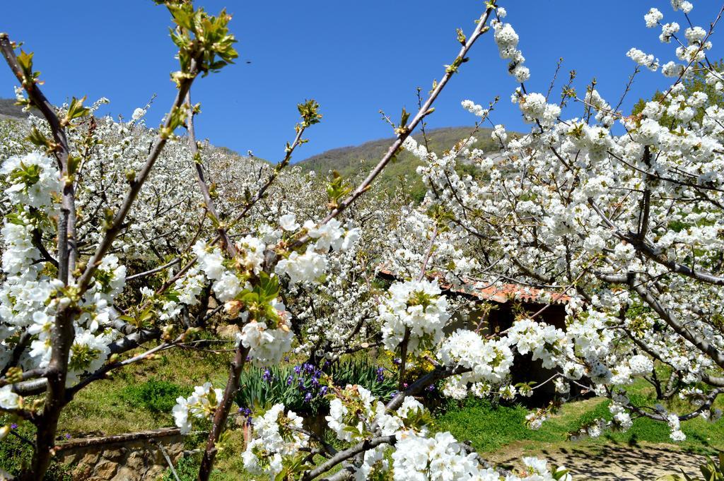 Casa Valeriana Villa Navaconcejo Kültér fotó